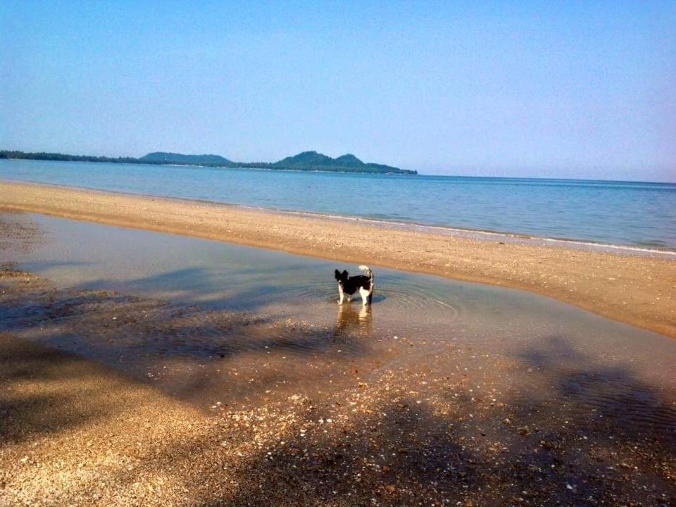Отель Ban Tawansongfa Lang Suan Номер фото